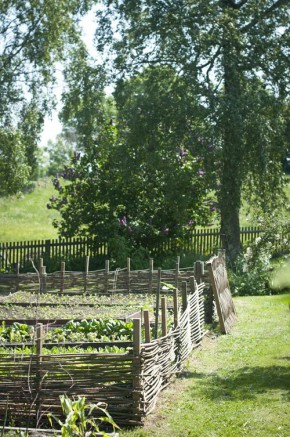 potager jardin