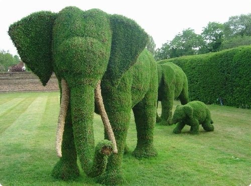 Forme pelouse elephants 