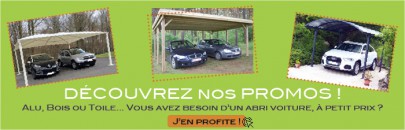 promotion des abris voitures carport pas cher