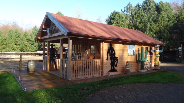 Terrasse-chalet-bois-saloon