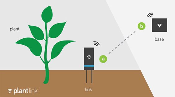 objet connecté plante domotique capteur humidité soleil terre