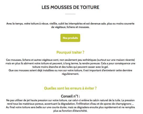 Article-traitement-mousse-toiture