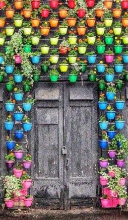 jardin vertical multicolore en pots de fleurs 