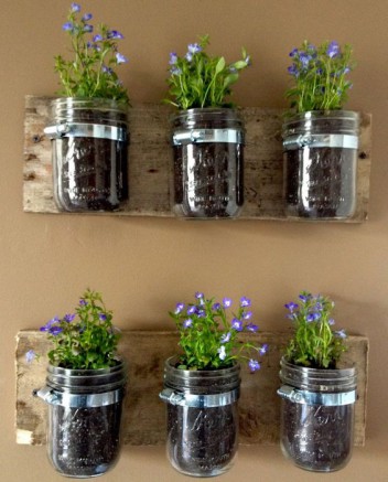 jardin végétal vertical avec des pots en verre