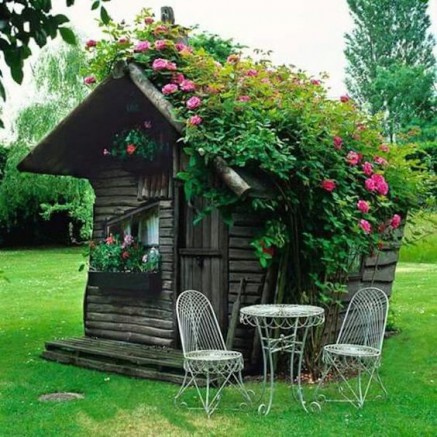 Abri jardin bois avec toiture végétalisée