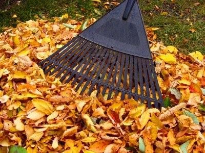 Feuilles mortes à l'automne : transformez le calvaire en bienfait ! – Blog  : conseil abri jardin garage carport & bons plans !