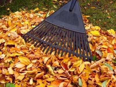 les feuilles mortes : la plaie du jardin à ratisser au balais à gazon