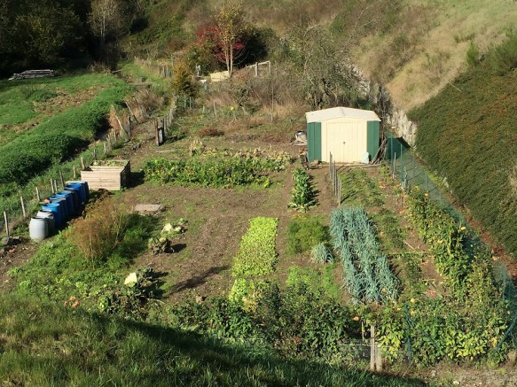 abri-jardin-stockage-potager-municipale-jardin-familiaux-professionnel