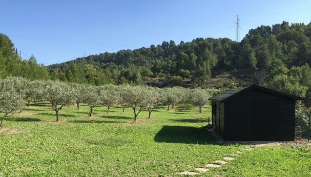 Abri pro en bois pour une exploitation agricole