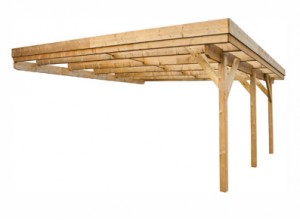 ABRI TERRASSE ADOSSE ::::::::::::::::540x284 cm