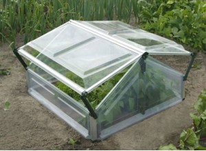 MINI SERRE CHASSIS LAVENDULA - 1,13 m2