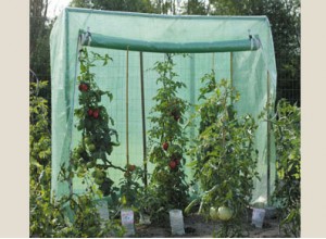 SERRE A TOMATES LARGE france abris