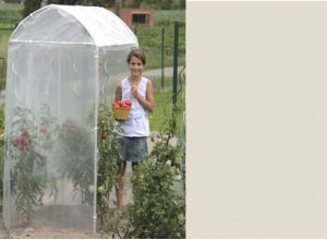 SERRE A TOMATES MEDIUM - 1,20 m2