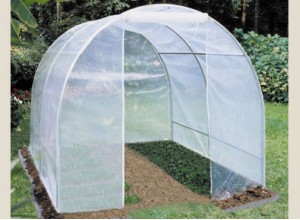 SERRE TUNNEL PLASTIQUE BUDGET - 6,00 m2