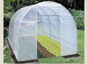 SERRE TUNNEL PLASTIQUE BUDGET - 9,00 m2