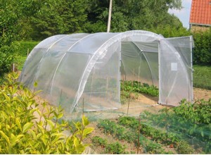 SERRE TUNNEL PLASTIQUE MARAICHERES - 16,65 m2