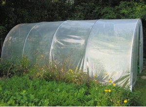 SERRE TUNNEL PLASTIQUE MARAICHERES - 22,20 m2