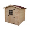 ABRI DE JARDIN BOIS 20 mm MONTÉ 2,05 x 1,99 M