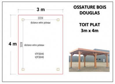 OSSATOIRE BOIS DOUGLAS TOIT PLAT 3m x 4m