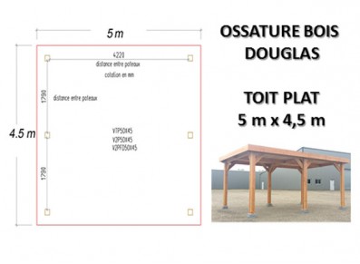 OSSATURE DOUGLAS TOIT PLAT