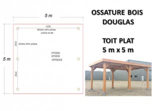 OSSATURE DOUGLAS TOIT PLAT