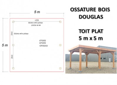 OSSATURE DOUGLAS TOIT PLAT