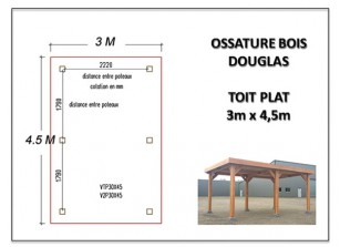 OSSATURE BOIS DOUGLAS 3 x 4.5 m
