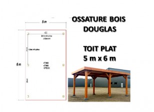 OSSATURE DOUGLAS TOIT PLAT