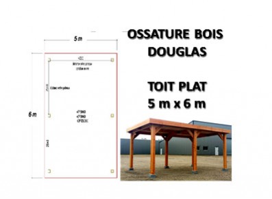 OSSATURE DOUGLAS TOIT PLAT