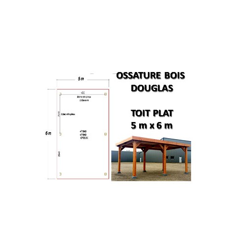 OSSATURE DOUGLAS TOIT PLAT