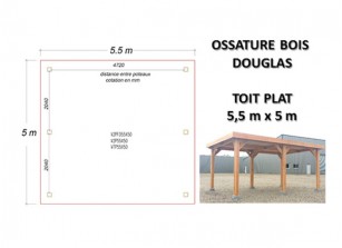 OSSATURE DOUGLAS TOIT PLAT