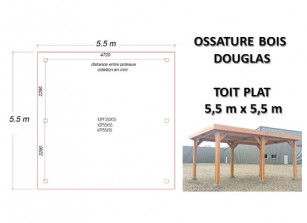 OSSATURE DOUGLAS TOIT PLAT