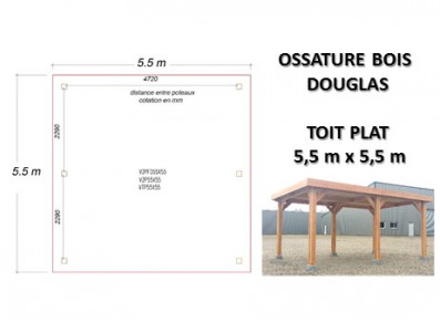 OSSATURE DOUGLAS TOIT PLAT