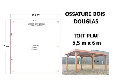 OSSATURE DOUGLAS TOIT PLAT