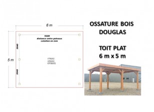 OSSATURE DOUGLAS TOIT PLAT