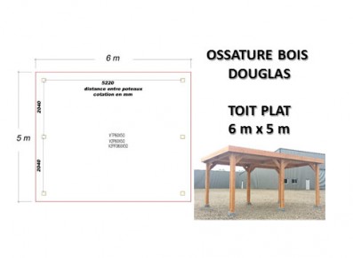 OSSATURE DOUGLAS TOIT PLAT