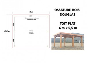 OSSATURE DOUGLAS TOIT PLAT