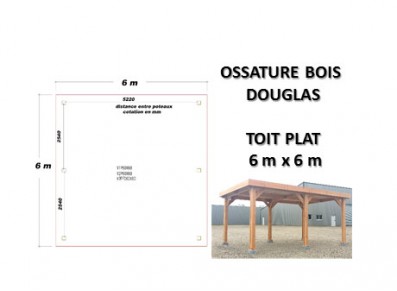 OSSATURE DOUGLAS TOIT PLAT