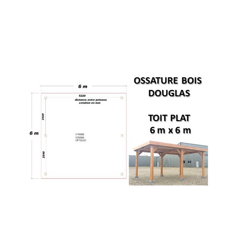 OSSATURE DOUGLAS TOIT PLAT