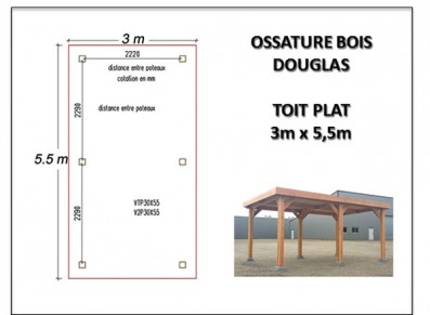 OSSATURE BOIS DOUGLAS TOIT PLAT 3 x 5.5 m