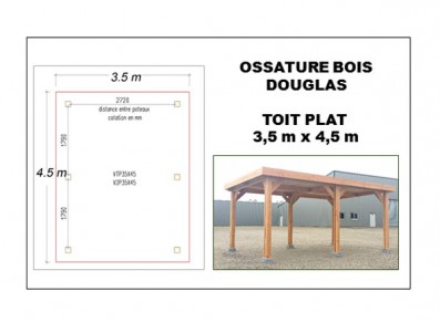 OSSATURE BOIS DOUGLAS TOIT PLAT 3.5 x 4 m