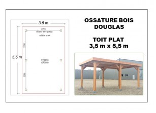 OSSATURE BOIS DOUGLAS TOIT PLAT 3.5 x 5.5 m