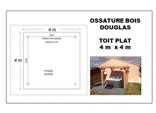 OSSATURE BOIS DOUGLAS TOIT PLAT