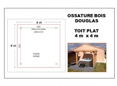 OSSATURE BOIS DOUGLAS TOIT PLAT