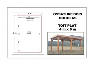 OSSATURE DOUGLAS TOIT PLAT