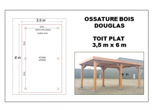 OSSATURE BOIS DOUGLAS AU TOIT PLAT