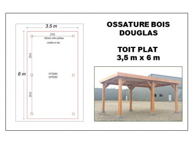 OSSATURE BOIS DOUGLAS AU TOIT PLAT