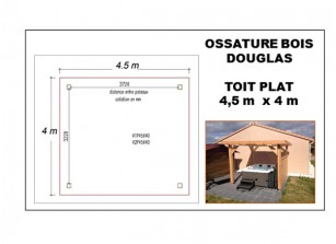 OSSATURE DOUGLAS TOIT PLAT