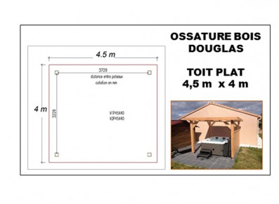 OSSATURE DOUGLAS TOIT PLAT