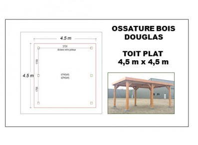 OSSATURE DOUGLAS TOIT PLAT